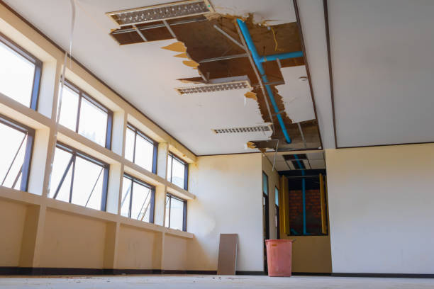Best Flood restoration services  in Cut Off, LA