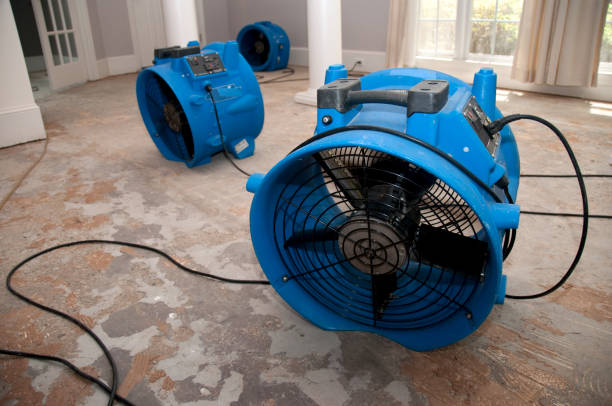 Best Residential water damage restoration  in Cut Off, LA