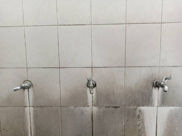 Best Water damage restoration near me  in Cut Off, LA