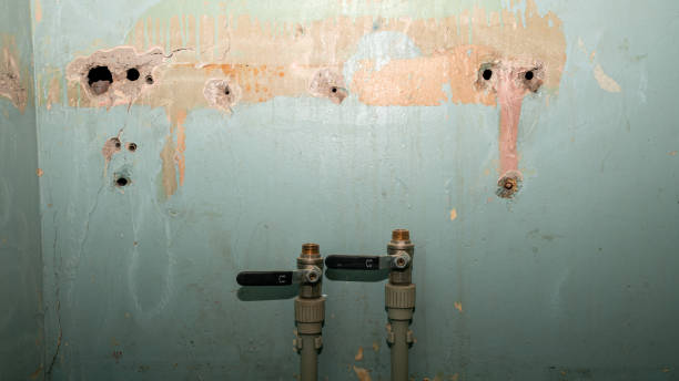 Best Basement water damage restoration  in Cut Off, LA