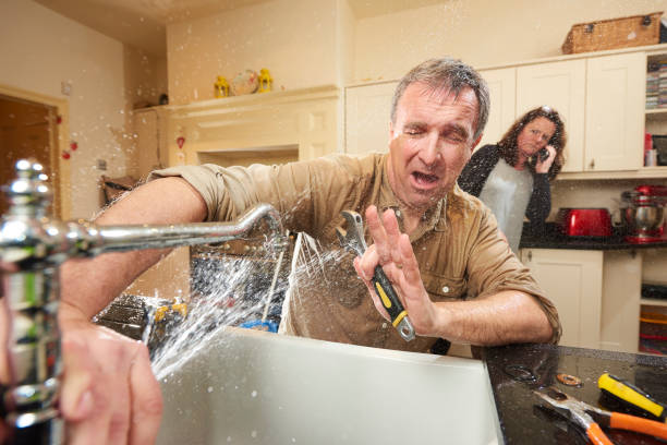 Best Mold removal after water damage  in Cut Off, LA